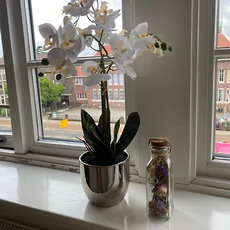 Apartmán Anna Boutique *